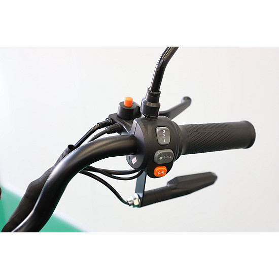 Triciclu Electric RDB CARGO