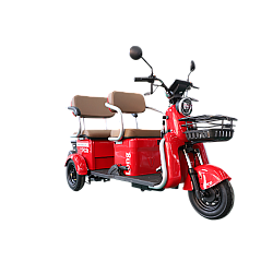 Triciclu Electric RDB LONG