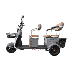 Placă decorativă față dreapta Placă decorativă față dreapta