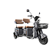 Triciclu Electric RDB LONG