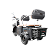 Triciclu Electric RDB LONG