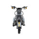 Tricicleta electrica RDB Rabbit, 1000W, 25 km/h, fara permis, 2022