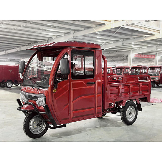 Triciclu electric, RDB MAX-Klass, acoperis inchis, fara permis, 2000W, 25km/h