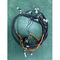 Ansamblu cablaj principal