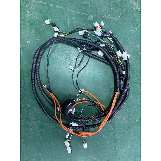 Ansamblu cablaj principal