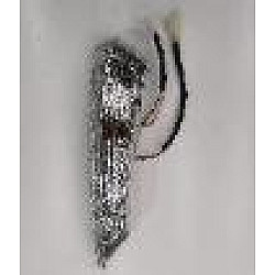 Pozitii stanga Pozitii stanga