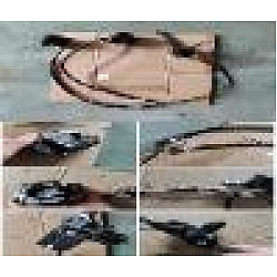 Ansamblu etrier fata