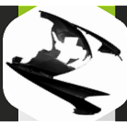 MASCA PRINCIPALA FATA VSX