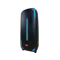 Boxa Portabila RTS-2807 Boxa Portabila RTS-2807