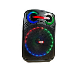 Boxa Portabila RTS-5012 Boxa Portabila RTS-5012